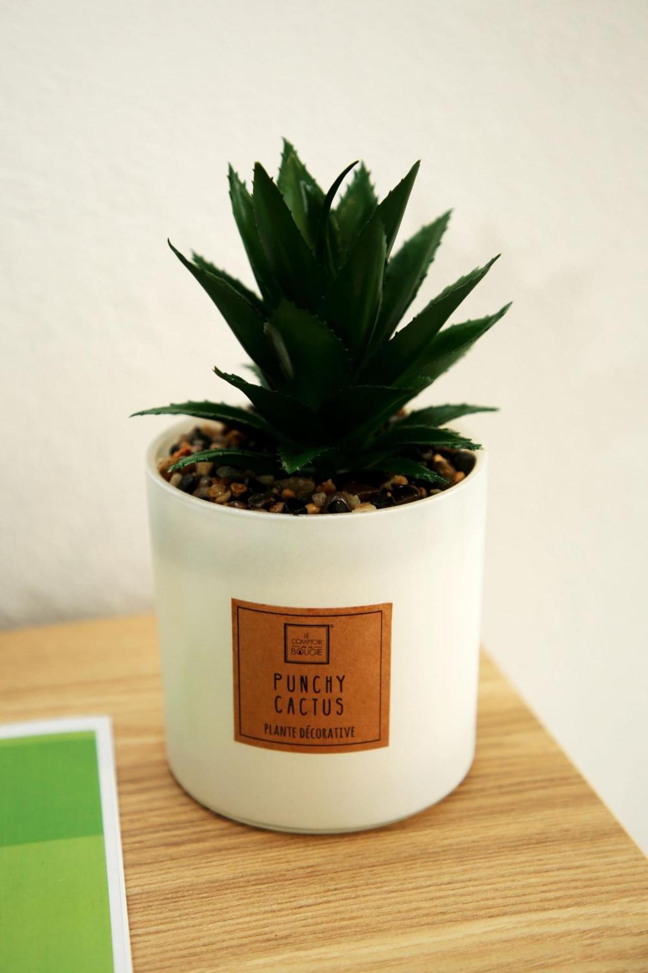 Apartamento Mae De Deus ปอนตาเดลกาดา ภายนอก รูปภาพ